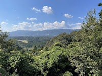 市川ヘリポート