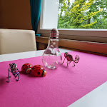 Photo n°4 de l'avis de Alexandra.z fait le 05/08/2023 à 18:21 sur le  Hotel Kameleon, familienhotel à Olsberg