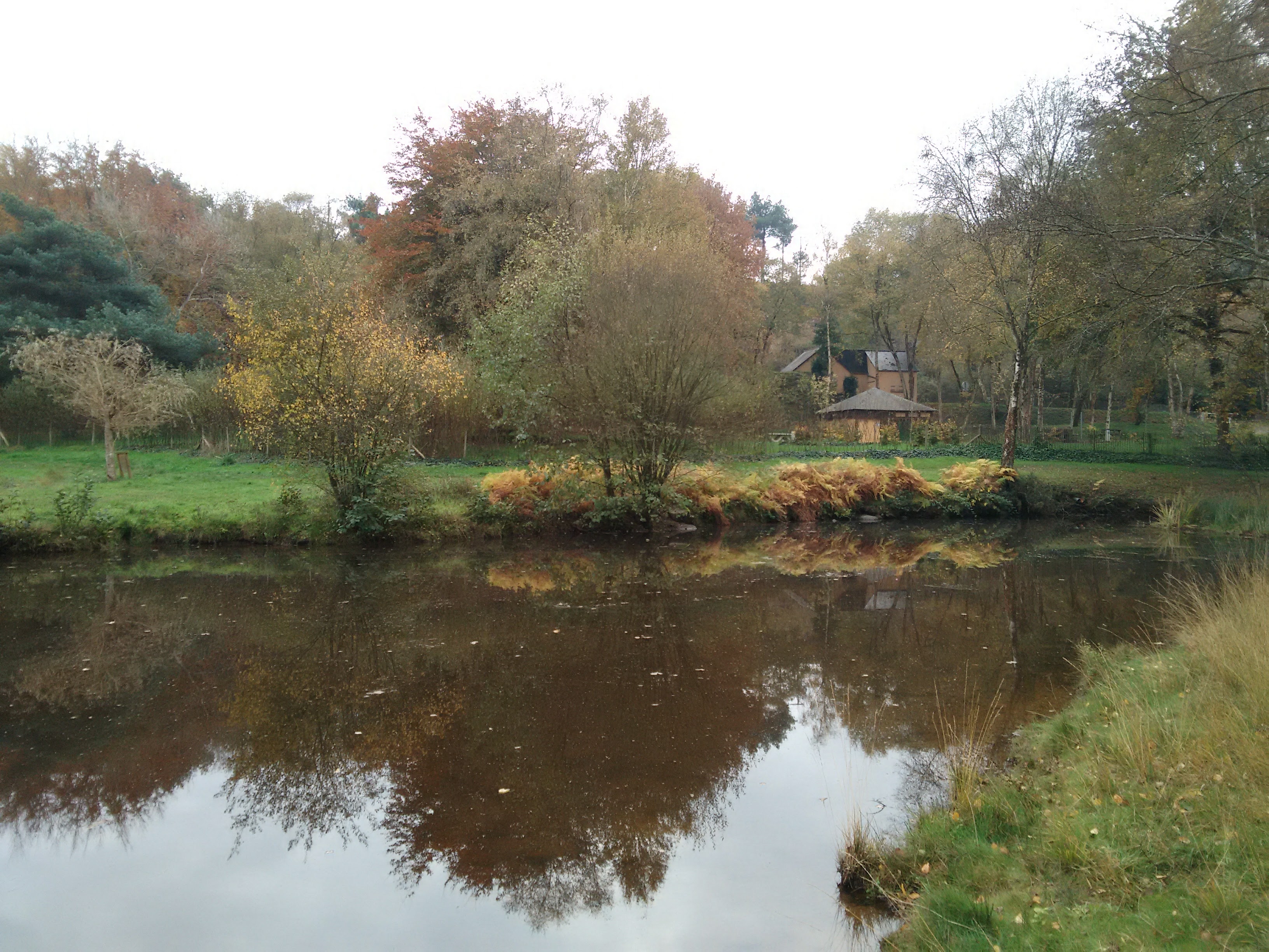 Photo n° 1 de l'avis de dominique.- fait le 23/11/2017 à 17:41