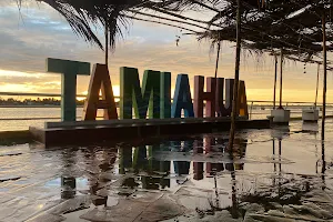 Tamiahua image