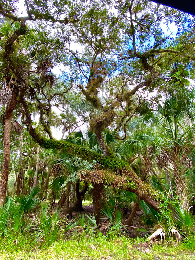 Campground «Myakka River State Park Big Flats Camping Area», reviews and photos, Myakka State Park Rd, Sarasota, FL 34240, USA