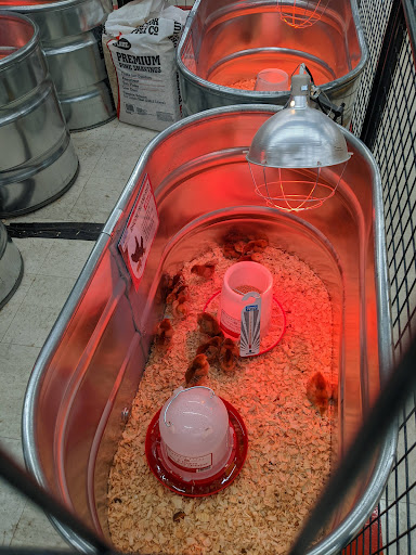 Home Improvement Store «Tractor Supply Co.», reviews and photos, 216 Susquehanna Blvd, West Hazleton, PA 18202, USA