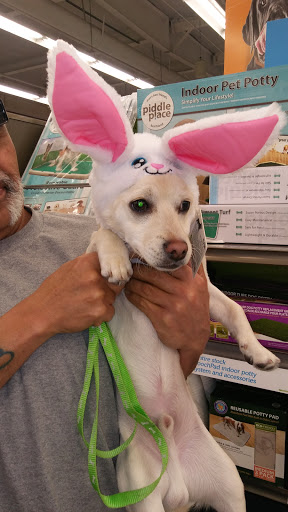 Pet Supply Store «Petco Animal Supplies», reviews and photos, 852 N Western Ave, San Pedro, CA 90732, USA