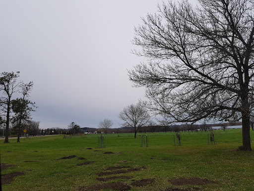 Grocery Store «Ferndale Market», reviews and photos, 31659 Willow Trail, Cannon Falls, MN 55009, USA