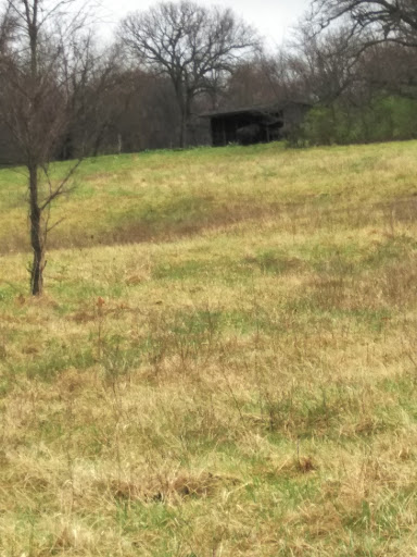 Golf Course «Hodge Park Golf Course», reviews and photos, 7000 NE Barry Rd, Kansas City, MO 64156, USA