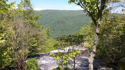 Meadows Lane Crabtree Falls Parking Area/Crabtree Falls Trail/Crabtree Falls Meadows/.5 Appalachian Trail Access