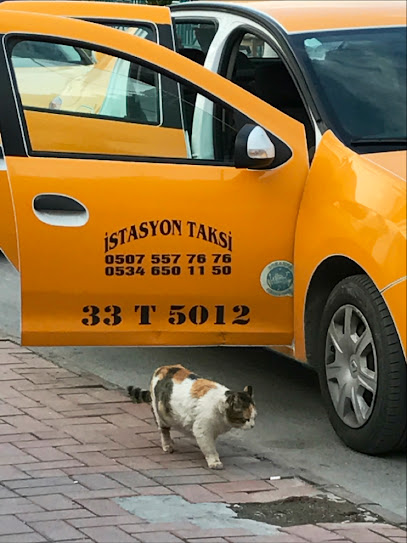 İstasyon Taksi