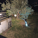 Photo n°12 de l'avis de Oste.n fait le 06/09/2022 à 15:15 sur le  Aurum terrae à Cerisano