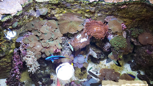 Pet Store «Ark Pet Shop», reviews and photos, 2400 W Lincoln Hwy, Merrillville, IN 46410, USA