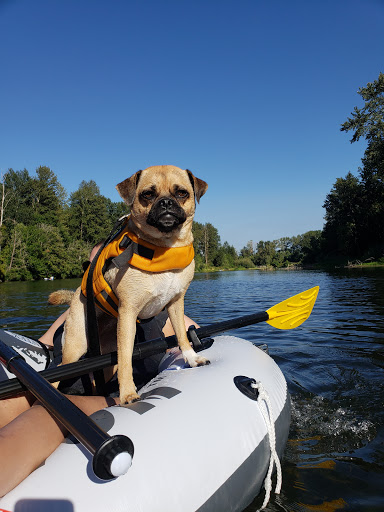 Sporting Goods Store «Big 5 Sporting Goods», reviews and photos, 4665 Commercial St SE, Salem, OR 97302, USA