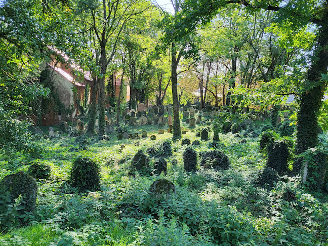 Komentáře a recenze na Starý židovský hřbitov Kolín