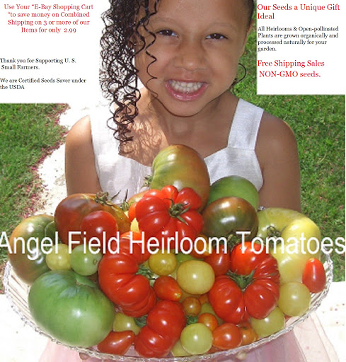 Angel Field Heirloom Tomatoes 
