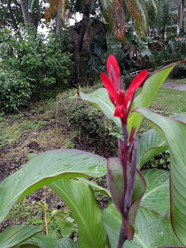 Historical Place «Burroughs Home & Gardens», reviews and photos, 2505 First St, Fort Myers, FL 33901, USA