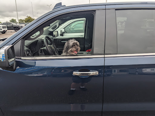 Car Dealer «Forest Lake Chevrolet Cadillac», reviews and photos, 533 19th St SW, Forest Lake, MN 55025, USA