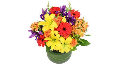 Florist «The Exotica Floral Shoppe», reviews and photos, 3984 Scioto Darby Creek Rd, Hilliard, OH 43226, USA