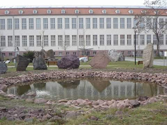Martin-Luther-Universität Halle-Wittenberg Naturwissenschaftliche Fakultät III