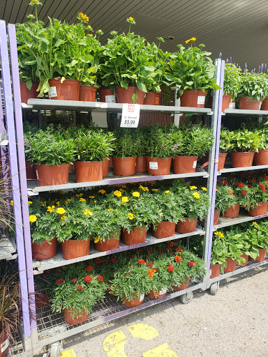 Discount Store «Ocean State Job Lot», reviews and photos, 230 E Main St, Marlborough, MA 01752, USA