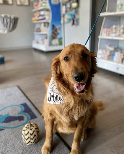 2070 W 21st St N, Wichita, KS 67203, USA