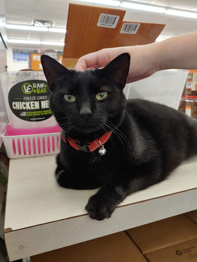 Pet Supply Store «Concord Pet Foods & Supplies», reviews and photos, 2062 Newark Rd, West Grove, PA 19390, USA