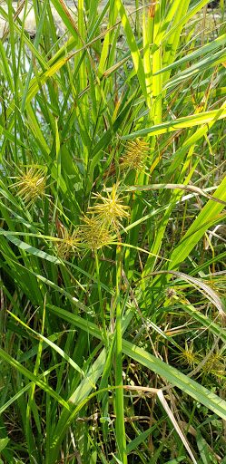 Nature Preserve «Lowry Nature Center», reviews and photos, 7025 Victoria Dr, Victoria, MN 55386, USA