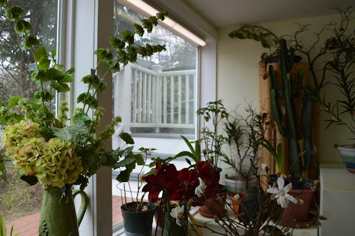 Florist «Art of Flowers», reviews and photos, 144 King St, Chappaqua, NY 10514, USA