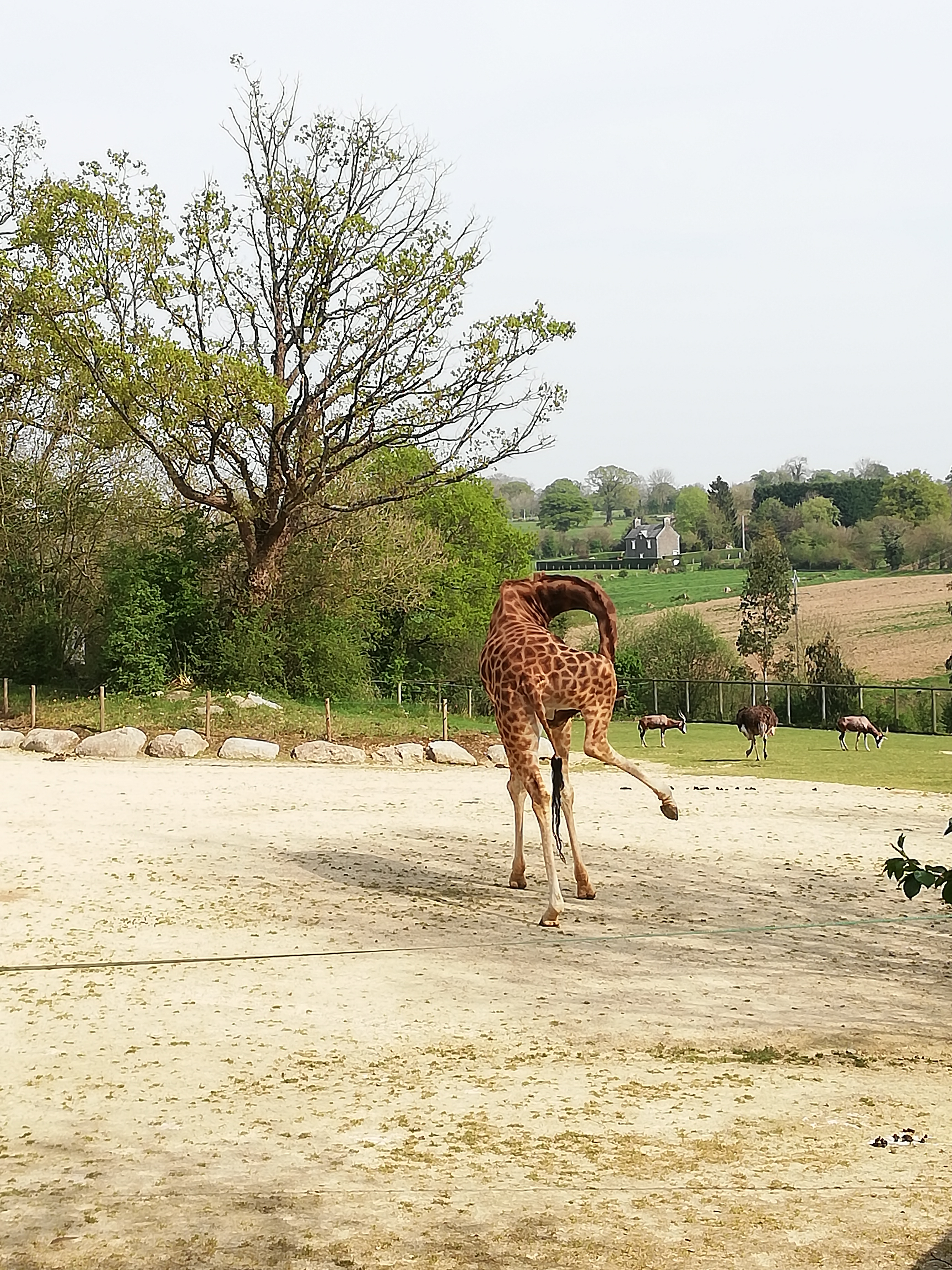 Photo n° 3 de l'avis de Jérôme.z fait le 21/04/2019 à 16:31