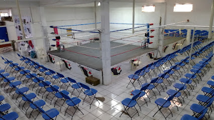 ZORRITO ALTAMIRANO ESCUELA DE BOX