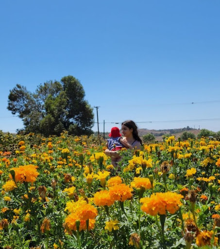 Produce Market «Underwood Family Farms», reviews and photos, 3370 Sunset Valley Rd, Moorpark, CA 93021, USA