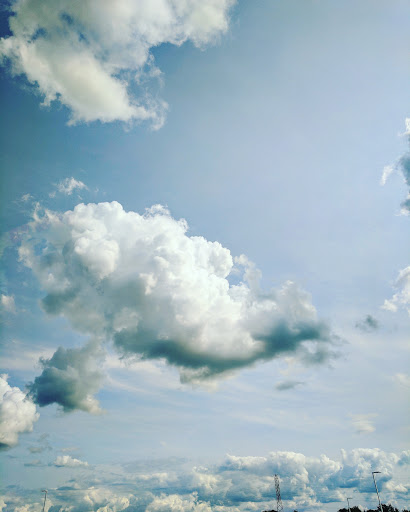 Grocery Store «Meijer», reviews and photos, 750 E Rollins Rd, Round Lake Beach, IL 60073, USA