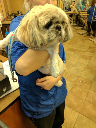 Pet Supply Store «PetSmart», reviews and photos, 13337 Worth Ave, Woodbridge, VA 22192, USA
