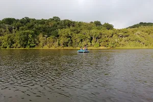 Laguna Las Coloradas image