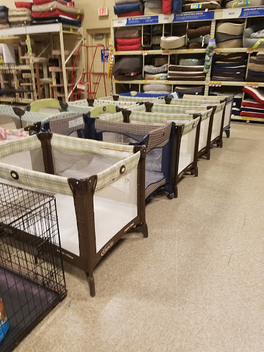 Pet Supply Store «PetSmart», reviews and photos, 3351 Jefferson Davis Hwy, Alexandria, VA 22305, USA