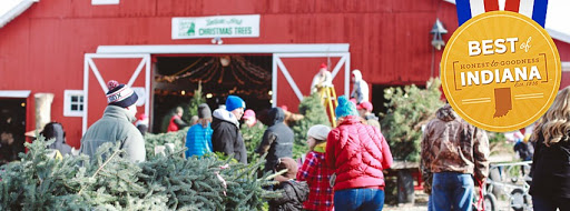 Dull's Tree Farm and Pumpkin Harvest