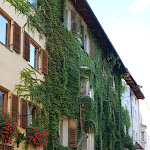 Photo n°3 de l'avis de Silvano.a fait le 02/10/2022 à 15:14 sur le  Antica Osteria Al Ponte - Ristorante / Wine Bar à San Daniele del Friuli