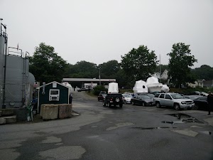 Cape Ann Whale Watch - photo 67