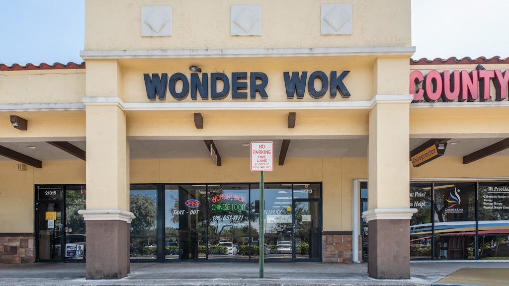 Wonder Wok 33169