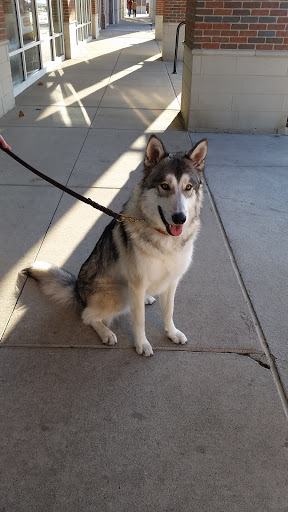 Pet Supply Store «Pet Supplies Plus», reviews and photos, 690 N State St, Westerville, OH 43082, USA