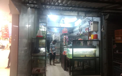 Vattathara Aquariums And Pet Store image