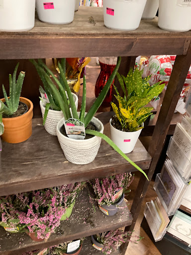 Grocery Store «Kroger», reviews and photos, 55 W Schrock Rd, Westerville, OH 43081, USA