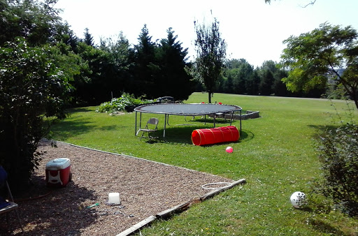 Tire Shop «Wolf Hill Tire & Services Center», reviews and photos, 3935 Scottsville Rd, Lafayette, TN 37083, USA