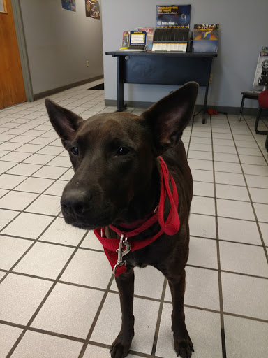 Truck Repair Shop «PFM Truck & Car Care Center», reviews and photos, 1402 W Hanna Ave, Indianapolis, IN 46217, USA