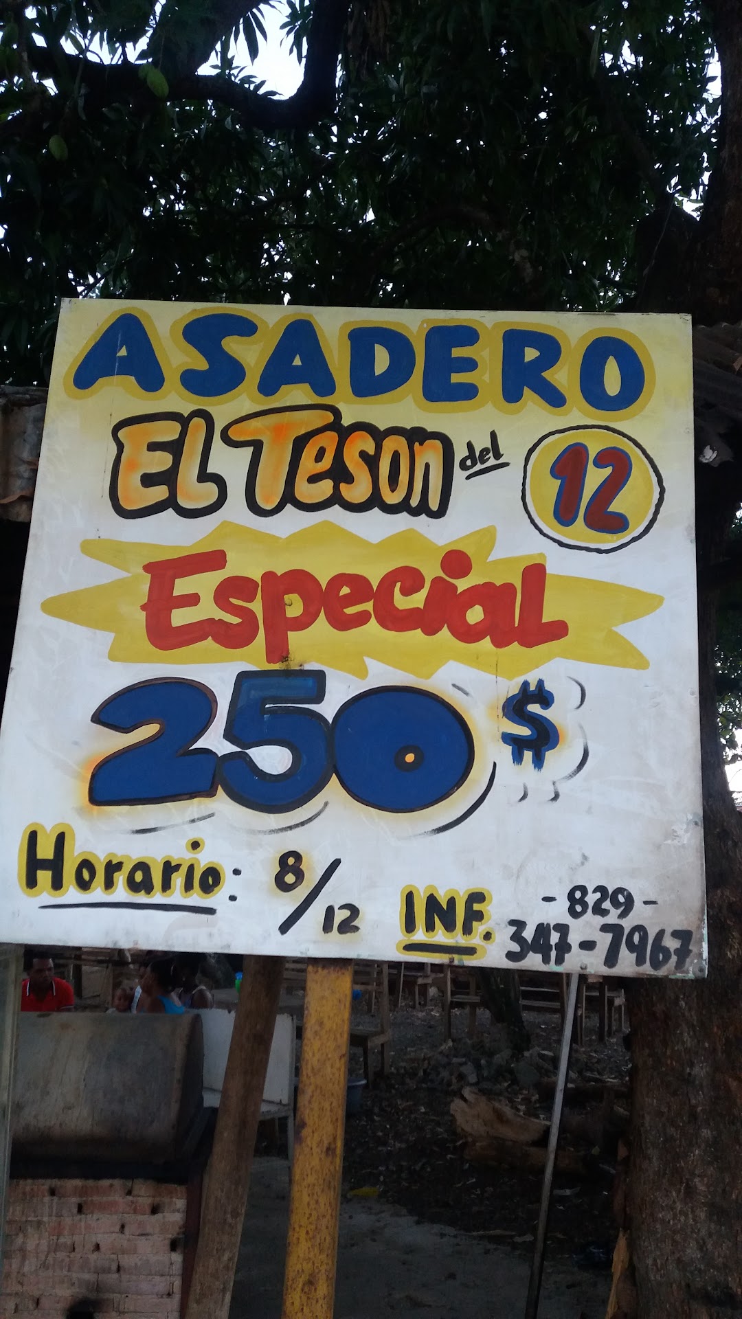 Asadero El Teson Del 12