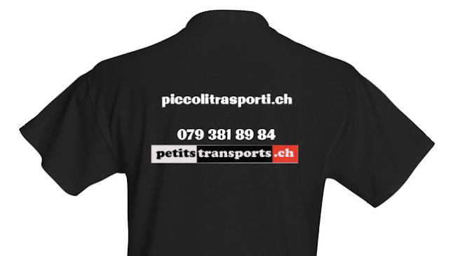 Piccoli Trasporti Ticino - Sgomberi Ticino