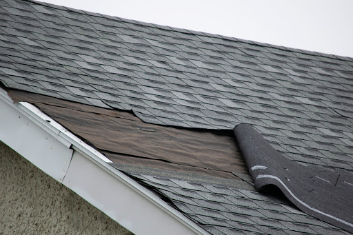 Overwatch Roofing Solutions in Palm Harbor, Florida