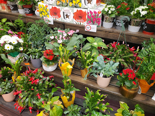 Supermarket «Winn-Dixie», reviews and photos, 6600 North Socrum Loop, Lakeland, FL 33809, USA