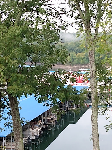 Marina «Mitchell Creek Marina», reviews and photos, 1260 Livingston Boat Dock Rd, Allons, TN 38541, USA