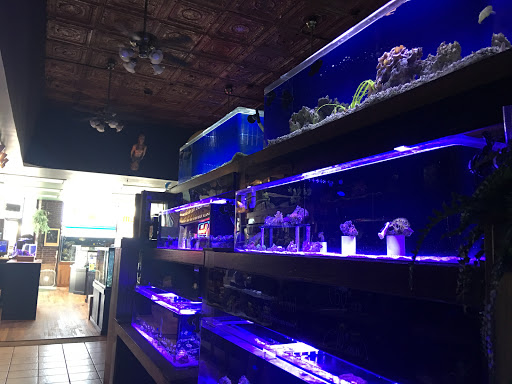 Aquarium «Aquarium In Old Town Inc», reviews and photos, 1001 E Douglas Ave, Wichita, KS 67211, USA