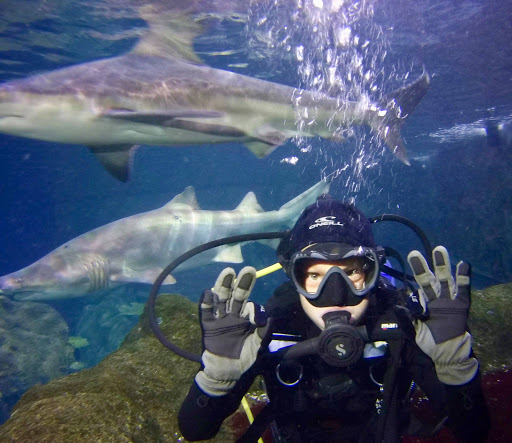 Dive Shop «A-1 Scuba & Travel Aquatic Center», reviews and photos, 1603 W Belleview Ave, Littleton, CO 80120, USA