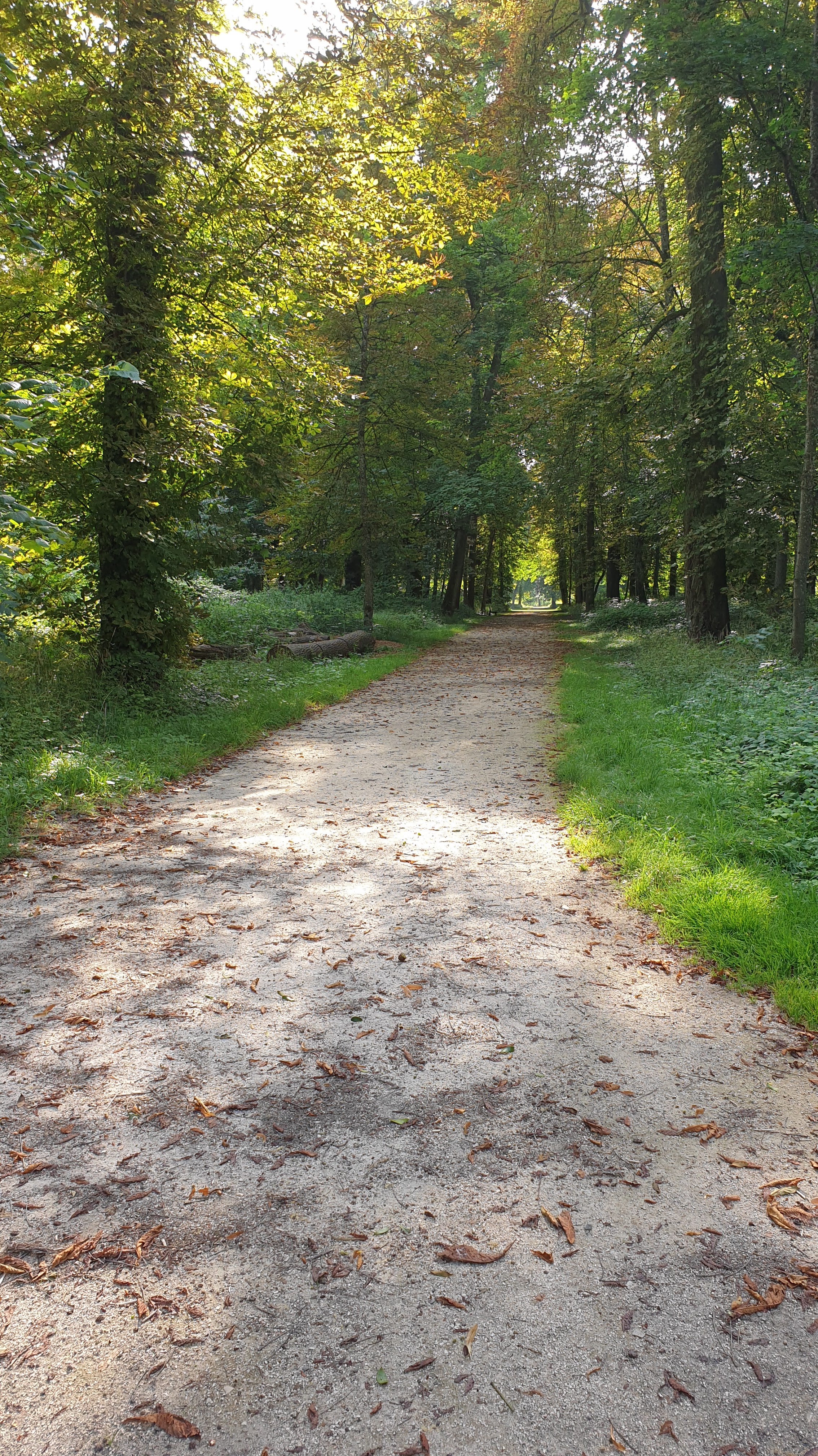 Photo n° 11 de l'avis de BMB.O fait le 14/09/2017 à 07:10