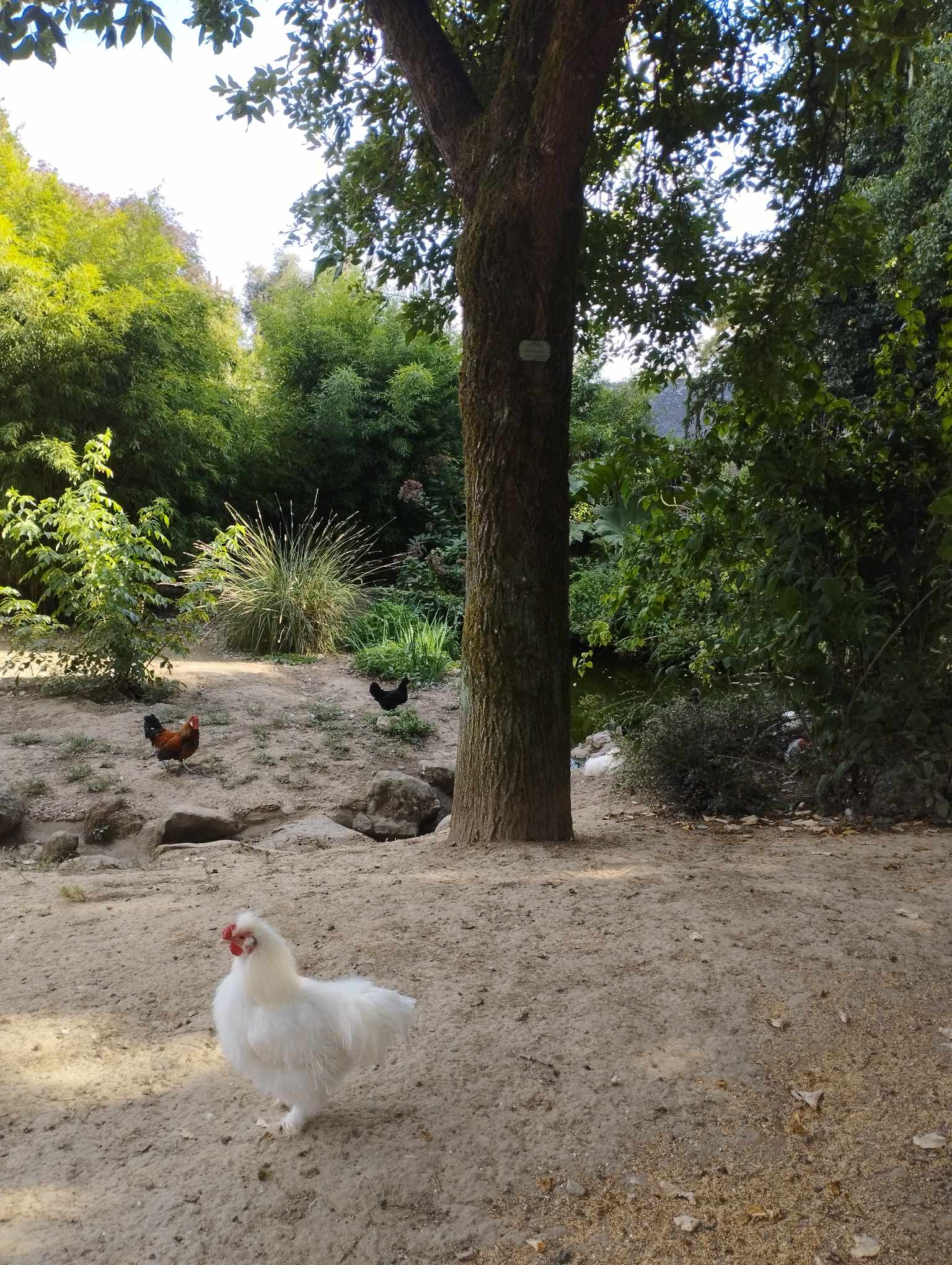 Photo n° 7 de l'avis de M.Plsk17. fait le 30/09/2023 à 16:46